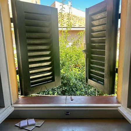 Ape Elbana