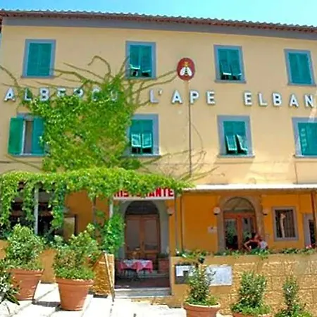 Ape Elbana